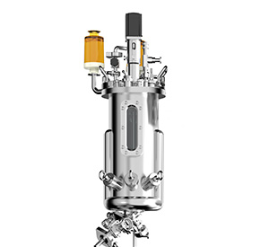 不锈钢发酵罐罐体图