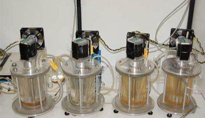 酶350vip生物反应器