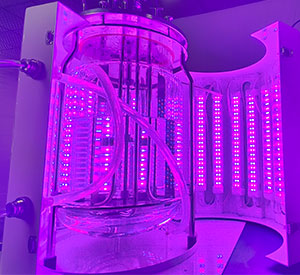 光照350vip生物反应器光照系统