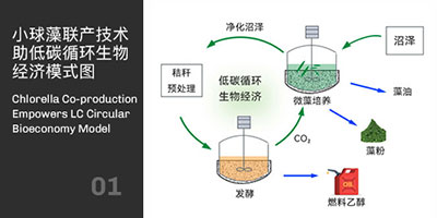 小球藻联产技术助力碳循环经济模式图